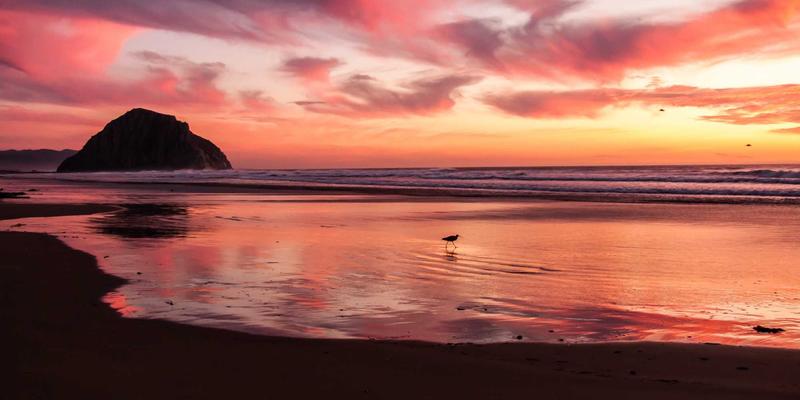 中老铁路重塑云南物流版图：宏成物流视角下的公铁空水多式联运枢纽构建