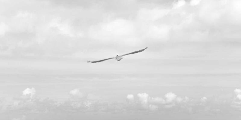 云南多式联运枢纽建设：打通公路、铁路与航空物流网络的战略路径与实践