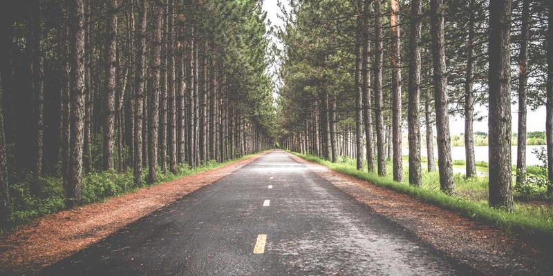 云南跨境冷链物流标准化：构建东盟农产品温控与检验检疫互认新通道