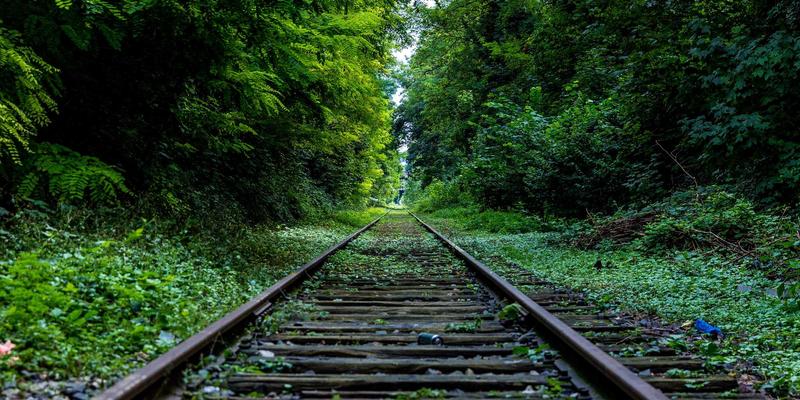 智慧赋能，链动未来：解码云南宏成物流园区的创新模式与供应链实践