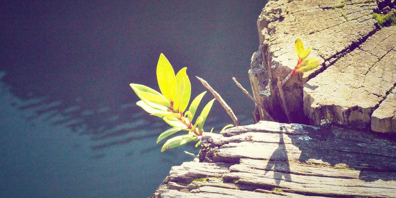 筑牢生命防线：云南应急物流体系如何高效调配救灾物资